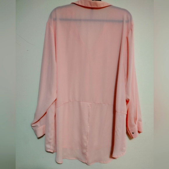Massini 3x light pink sheer button down blouse - Picture 3 of 3